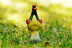 images